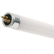 21W T5-FT21/6400/12000h/G5 Brilight