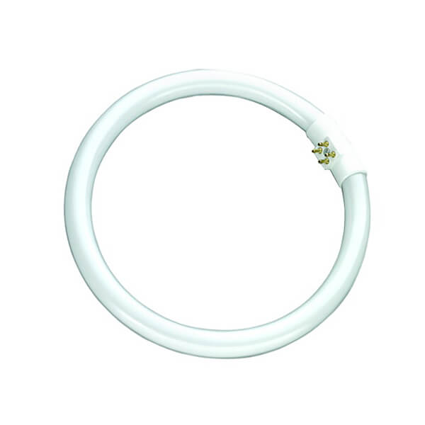 22W T5-YH22/6400/10000h/G10q CIRCULAR Brilight